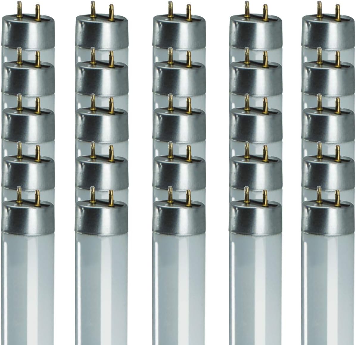 GoodBulb Bombilla fluorescente T8 de 32 W y 48 pulgadas, base bi-pin mediana de espectro completo de 6500 K, 3050 lúmenes, 86 CRI, 24000 horas de