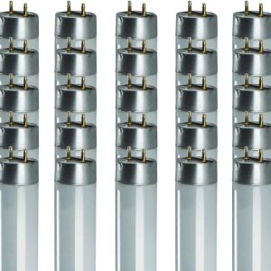 GoodBulb Bombilla fluorescente T8 de 32 W y 48 pulgadas, base bi-pin mediana de espectro completo de 6500 K, 3050 lúmenes, 86 CRI, 24000 horas de GoodBulb Bombilla fluorescente T8 de 32 W y 48 pulgadas, base bi-pin mediana de espectro completo de 6500 K, 3050 lúmenes, 86 CRI, 24000 horas de