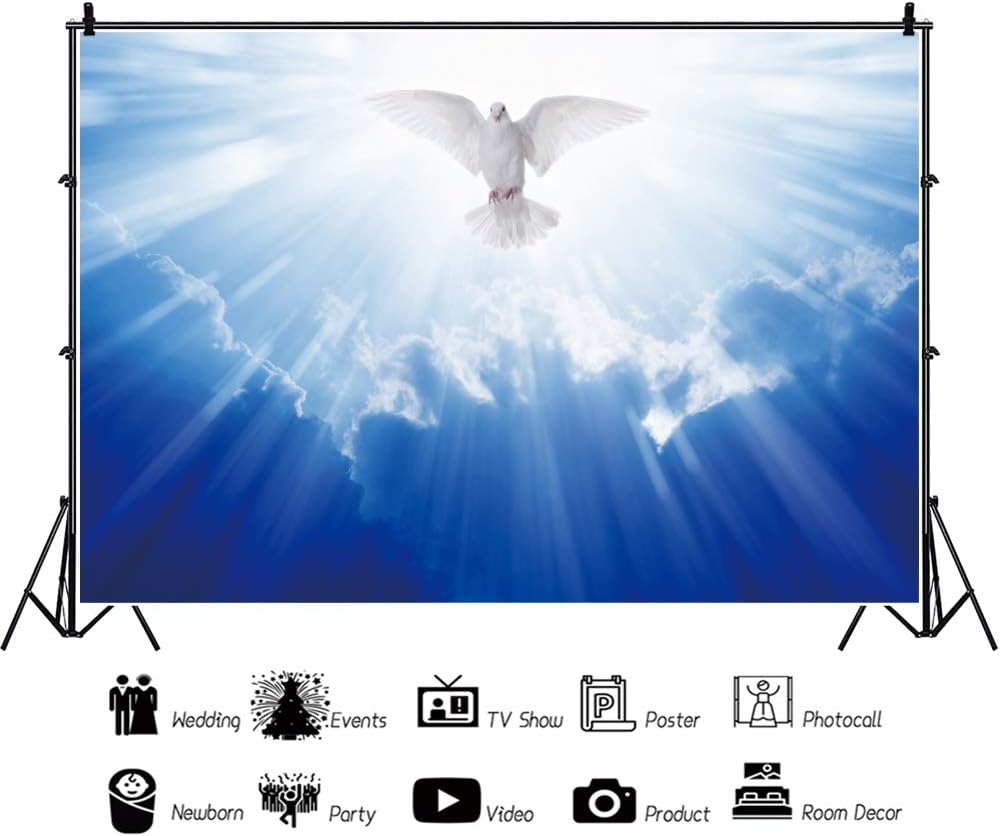 OERJU 10x8ft Jesucristo Luz Santa irradia fotografía Fondo Dios bendición Paloma blanca cielo azul cielo mensajero creencia paraíso religioso foto