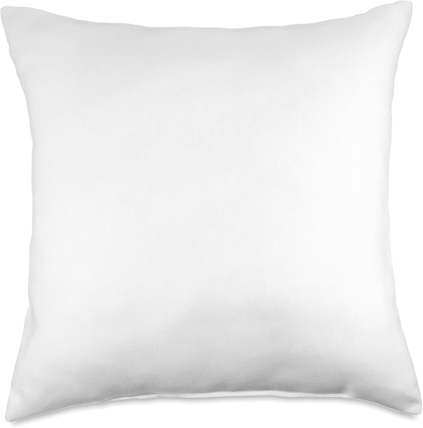 Lilly Ave Co RICA TIA Vibes Throw Pillow, 18×18, Multicolor