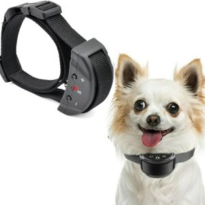 Mascota automática anti del collar del entrenamiento del choque del perro que ladra para el pequeño perro mediano grande Mascota automática anti del collar del entrenamiento del choque del perro que ladra para el pequeño perro mediano grande