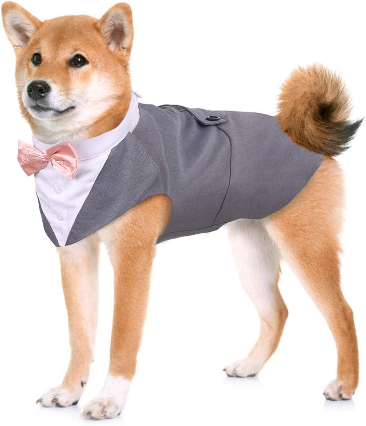 Kuoser – Juego de traje y paliacate para perros grandes y medianos, tema de esmoquin, para bodas