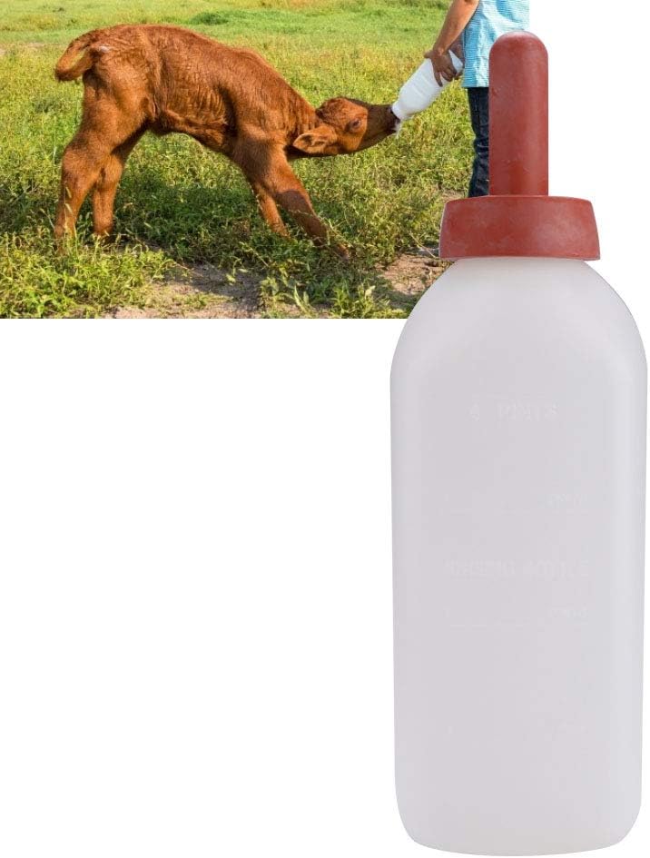 Alimentador de leche de ternero de 2L Tazas de botella de leche de ternero de lactancia Biberón de vaca sin mango Juego de tornillos Ordeño Reemplazo