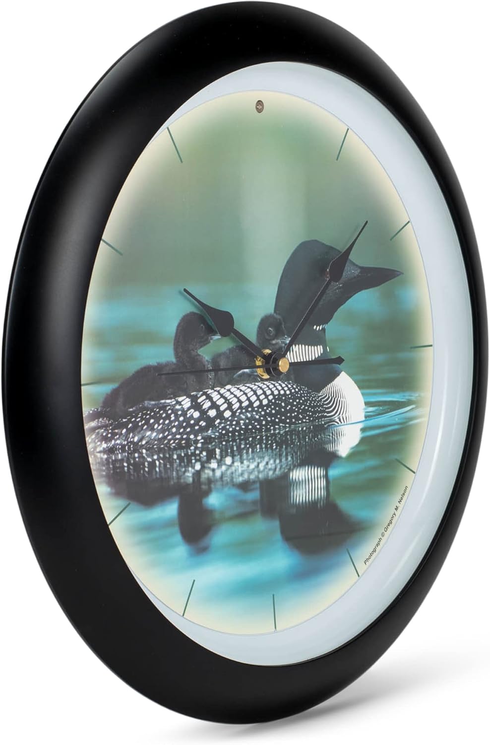 Mark Feldstein & Associates Call of The Loon Artwork – Reloj de pared con sonido negro mate de 13 pulgadas