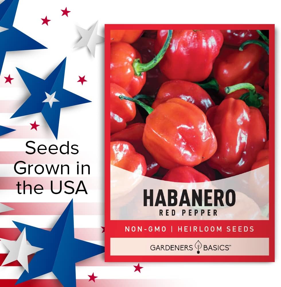 Gardeners Basics, Semillas de pimiento habanero rojo para plantar más de 100 pimientos habaneros tradicionales sin OMG semillas de plantas para