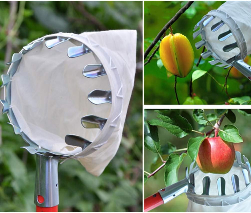 Hemoton 2 unids Recogedor de Frutas Stick Acero Inoxidable Tuercas Recogedor de Frutas Cesta Recolector de Frutas Herramienta Recogedor de Frutas