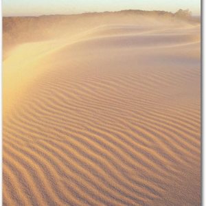 Indiana Dunes National Park, Indiana Imán para nevera tamaño 2.5″ x 3.5″ Indiana Dunes National Park, Indiana Imán para nevera tamaño 2.5″ x 3.5″