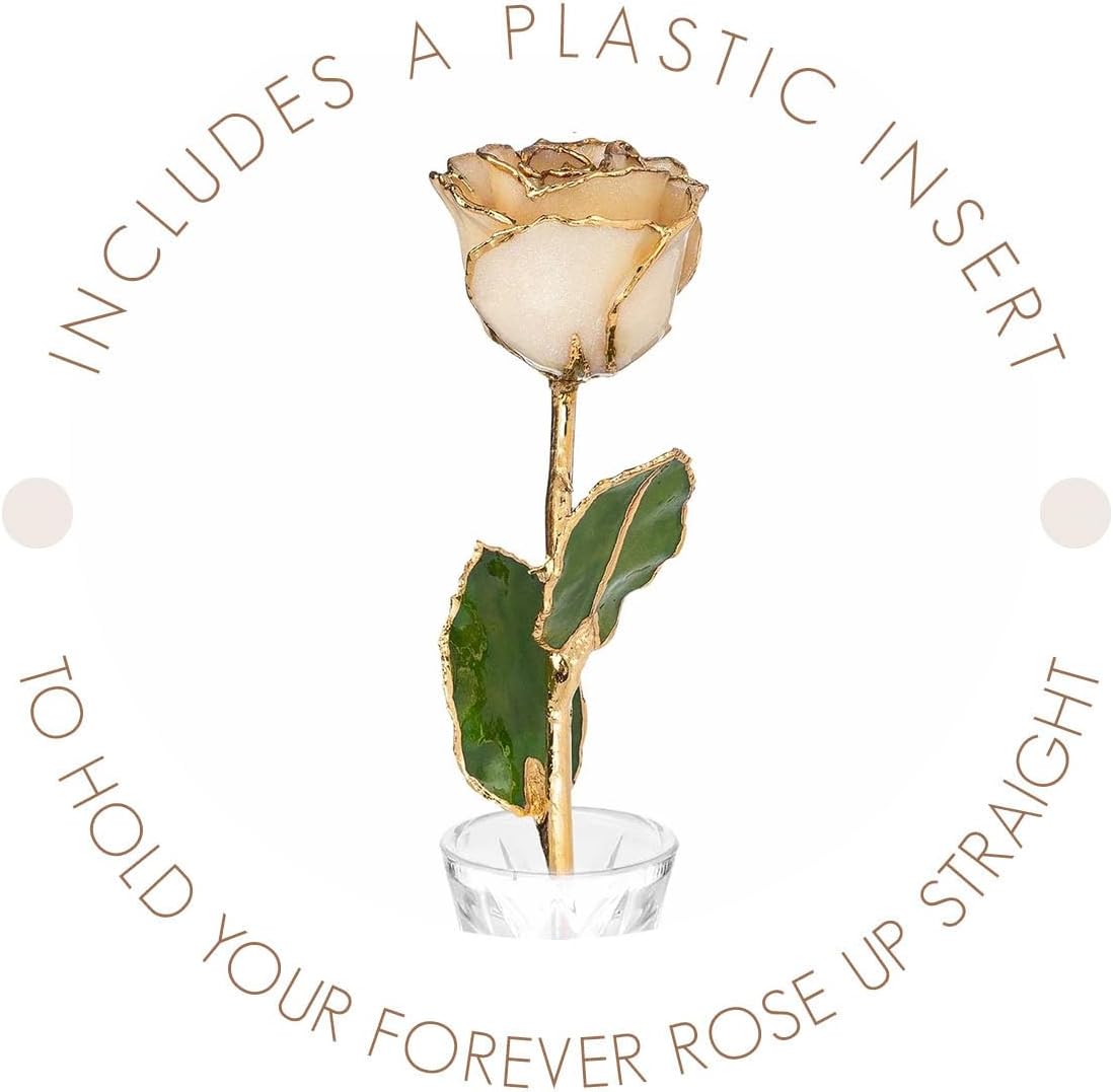 Forever Rose Rosa de diamante bañada en oro de 24 quilates, piedra natal de abril, una rosa blanca real única y eterna sumergida en oro de 24