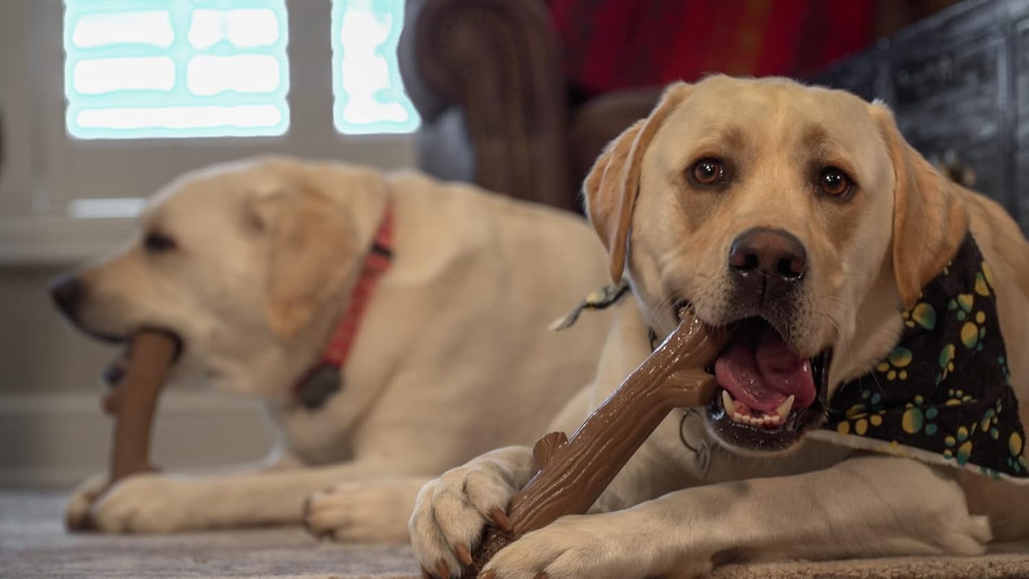 Hero Bonetics Stick – Juguete masticable para perros con aroma a madera, suave para los dientes y el abdomen