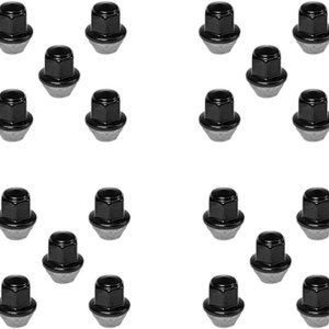 Kit de vehículo MUSTANGFORD GT 2015-2018 para tuercas negras (20 piezas) Kit de vehículo MUSTANGFORD GT 2015-2018 para tuercas negras (20 piezas)