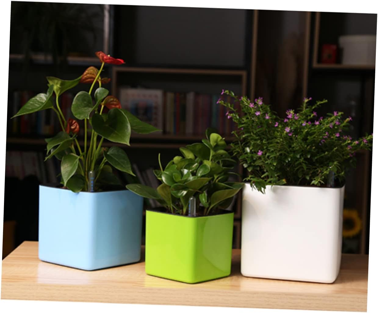 GANAZONO 4 unidades, 1 juego de macetas de riego automático, maceta hidropónica para plantas suculentas, macetas para plantas de interior, macetas