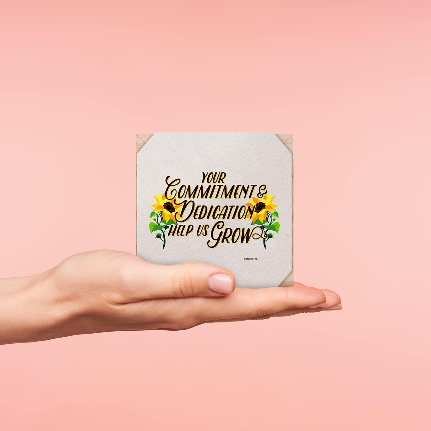 Cubo de planta padre