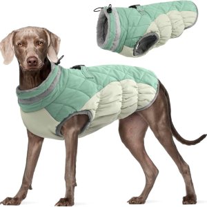 FUAMEY Chaqueta de invierno para perro, abrigos para clima frío para perro, chaleco acolchado para perro, ropa cálida con cremallera, resistente al FUAMEY Chaqueta de invierno para perro, abrigos para clima frío para perro, chaleco acolchado para perro, ropa cálida con cremallera, resistente al