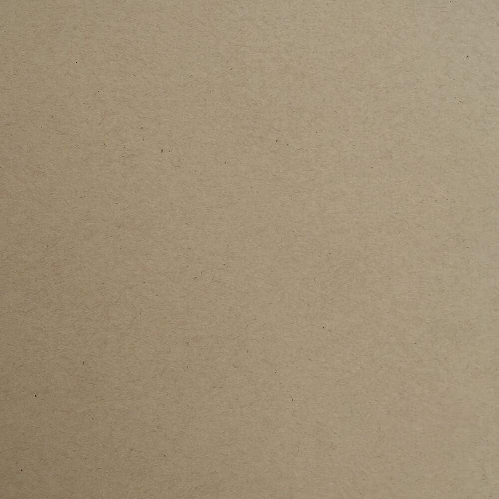 Cardstock Warehouse Speckletone – Papel kraft 100% reciclado de alta calidad, 12 x 12 pulgadas, 100 libras, 9.52 ozm, 25 hojas