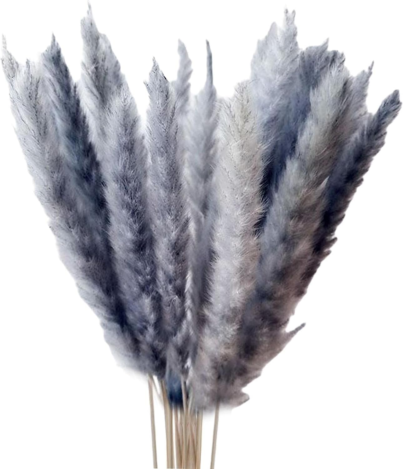 Ramo de hierba de pampa seca de 15 Uds. Hierba artificial de las pampas Hierba Natural de la Pampa Arreglo de flores para la decoración del hogar de