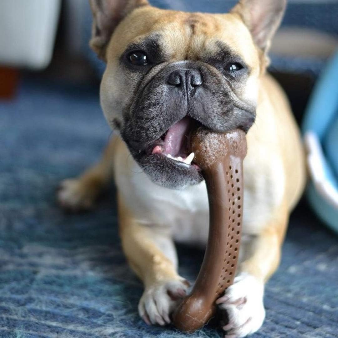 Pet Qwerks Flavorit BarkBone – Hueso de perro rellenable para masticadores moderados, sabor a mantequilla de maní, 5.5 pulgadas, fabricado en