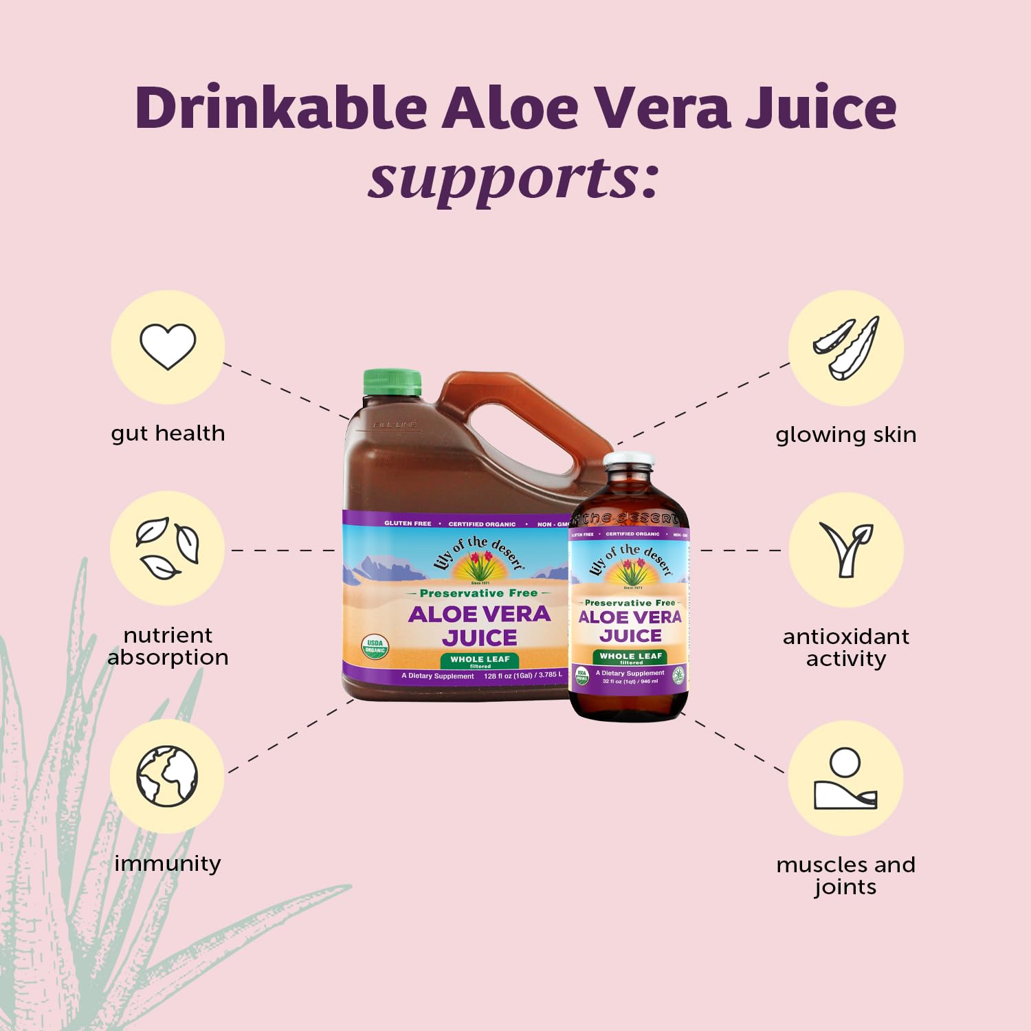 Lily of the Desert Jugo de aloe vera, sin conservantes, bebida de aloe vera filtrada de hoja entera, jugo de aloe orgánico certificado por USDA para