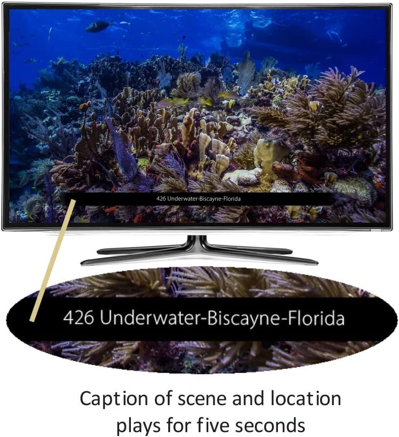 BillionDollarArtGallery Parques Nacionales  Transforma tu televisor en arte de pared con los 63 parques nacionales de Estados Unidos  Más de 600