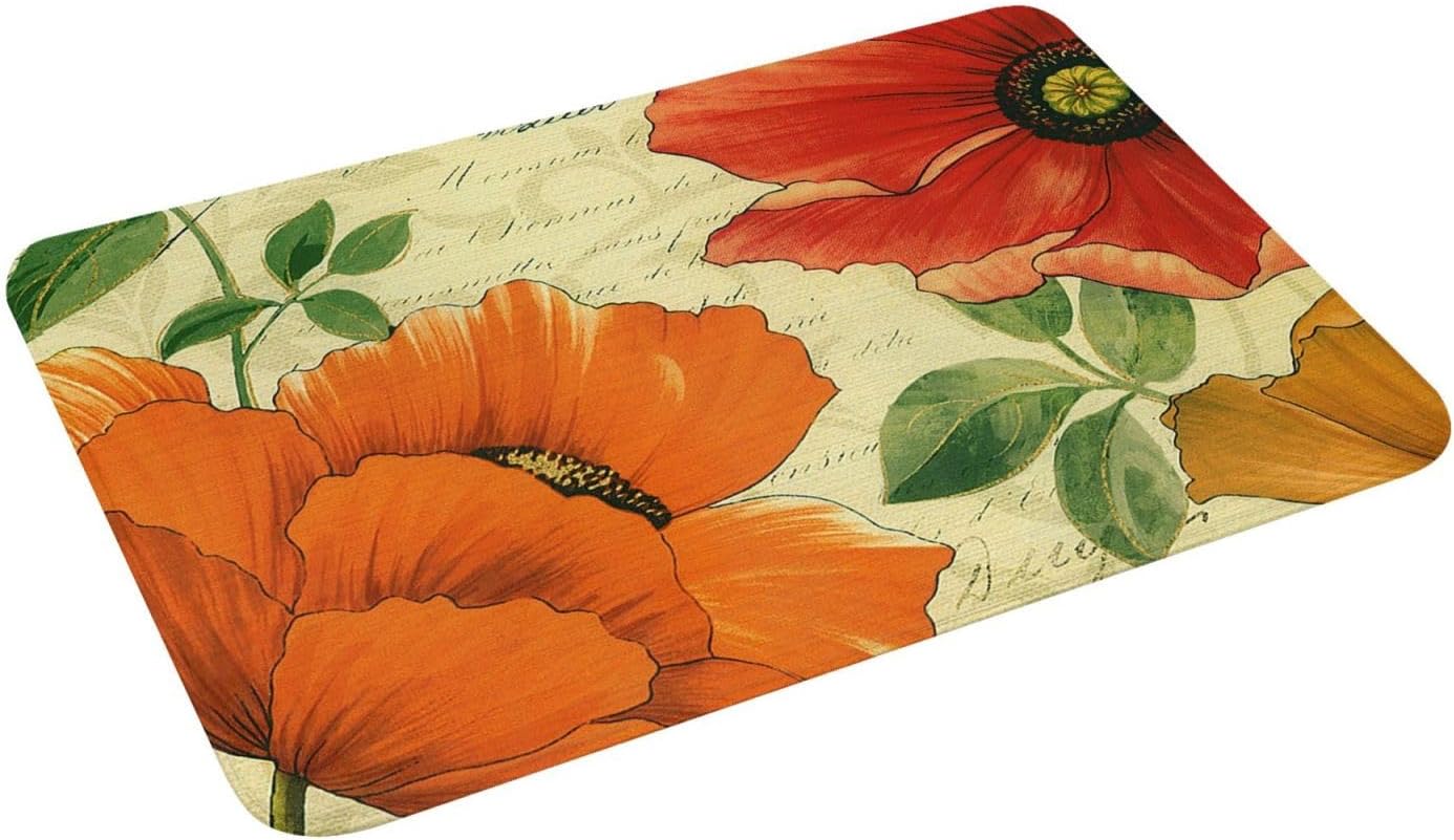 Tapete retro para puerta de interior, microfibra absorbente, lavable, tapete para puerta de piso para entrada y baño, 16 x 24 pulgadas