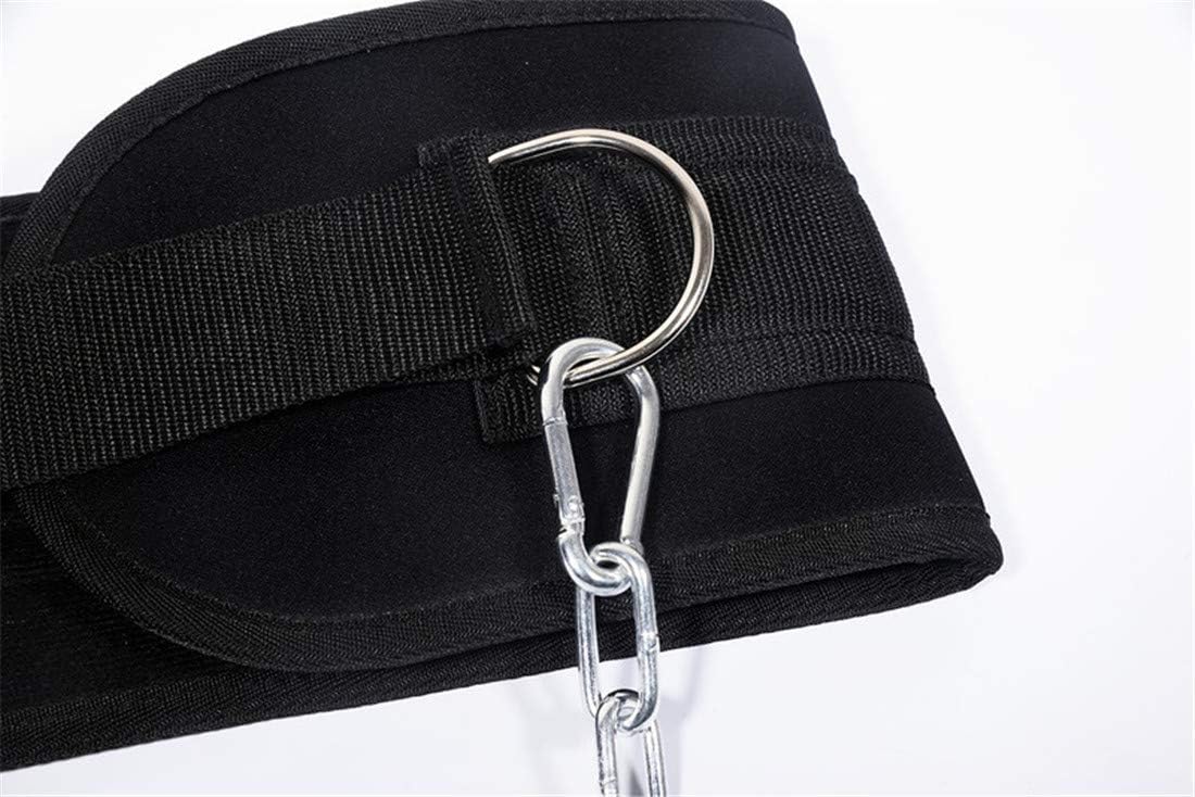 HemeraPhit Cinturón de dominadas con peso con cadena, doble anillo en D para levantamiento de pesas, correa de soporte para la espalda, equipo de