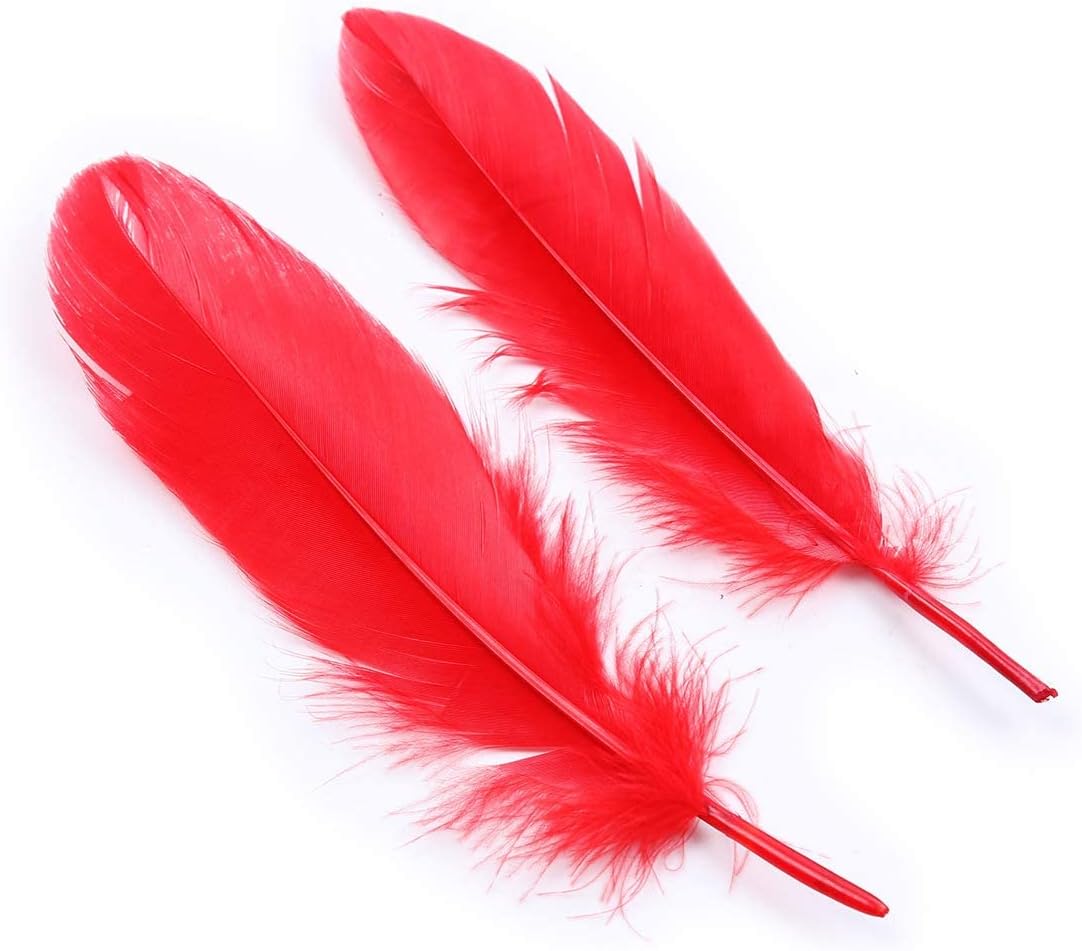 LanShi, plumas de ganso, 100 unidades, 6 a 8 pulgadas, auténticas, para artesanías, joyas