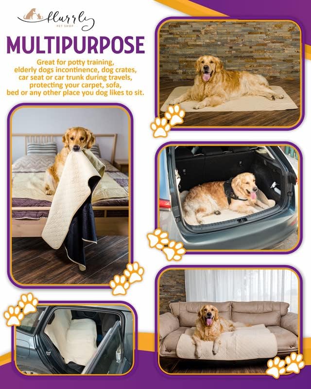 Flurrly – Almohadillas reutilizables para orina para perros, paquete de 2 unidades de 48 x 48 pulgadas + cuenco de agua plegable gratis,