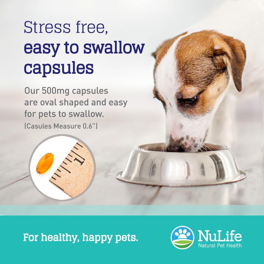 Omega 3100% puro de aceite de pescado para perros y gatos suplemento de aceite de salmón salvaje de Alaska para mascotas, para piel sana y pelo