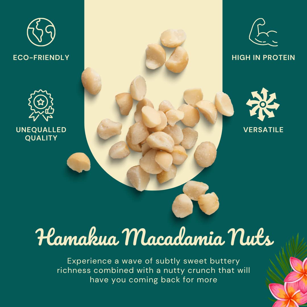 Hamakua Macadamia Nuts  Macadamias a granel sin sal (4 libras)  Macadamias tostadas secas y enteras cultivadas en Hawai  Nueces de macadamia grandes