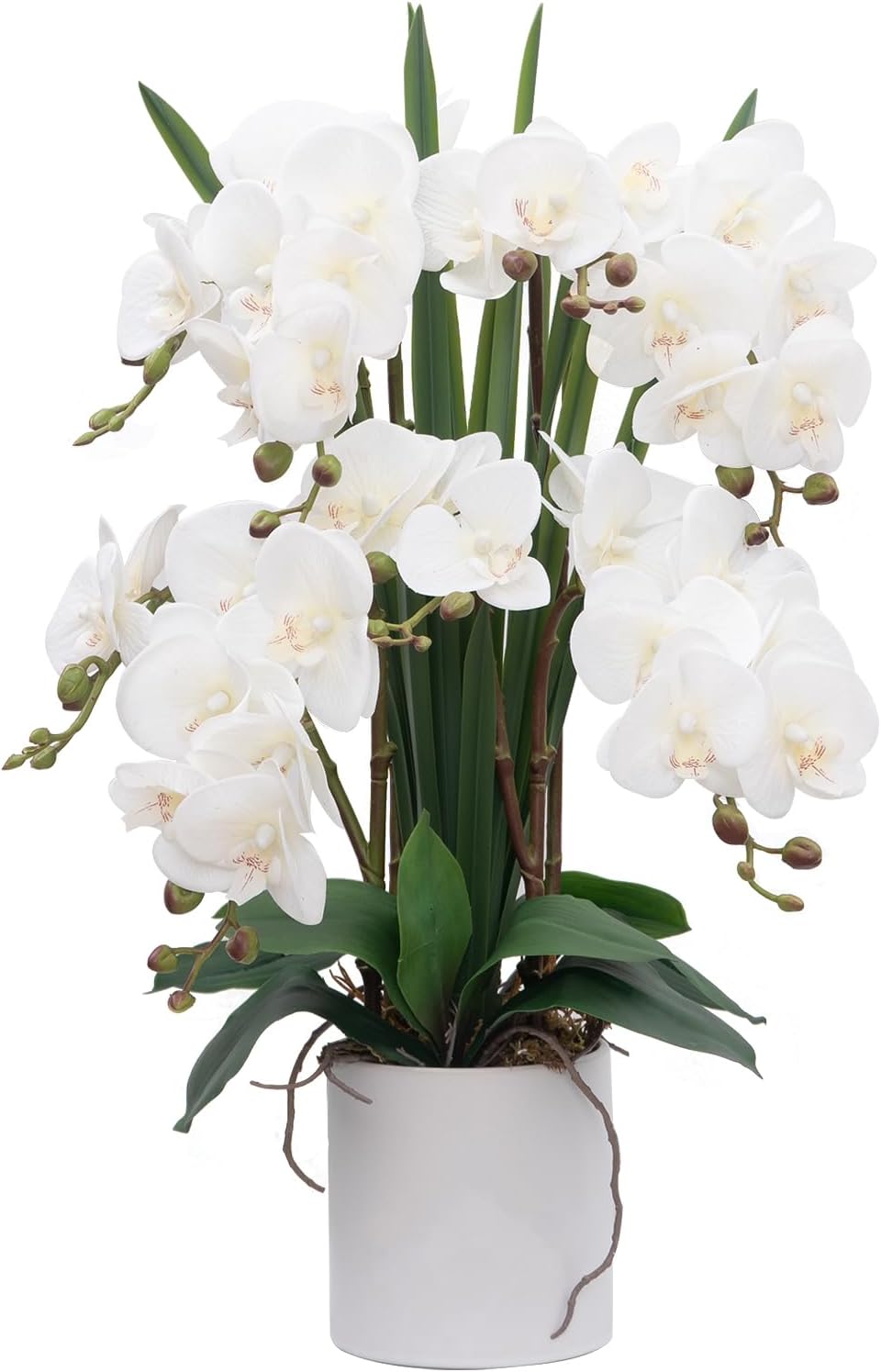 CXGS Plantas artificiales de orquídeas artificiales de tacto real, orquídeas falsas en jarrón de cerámica de 20.9 pulgadas, orquídea falaenopsis