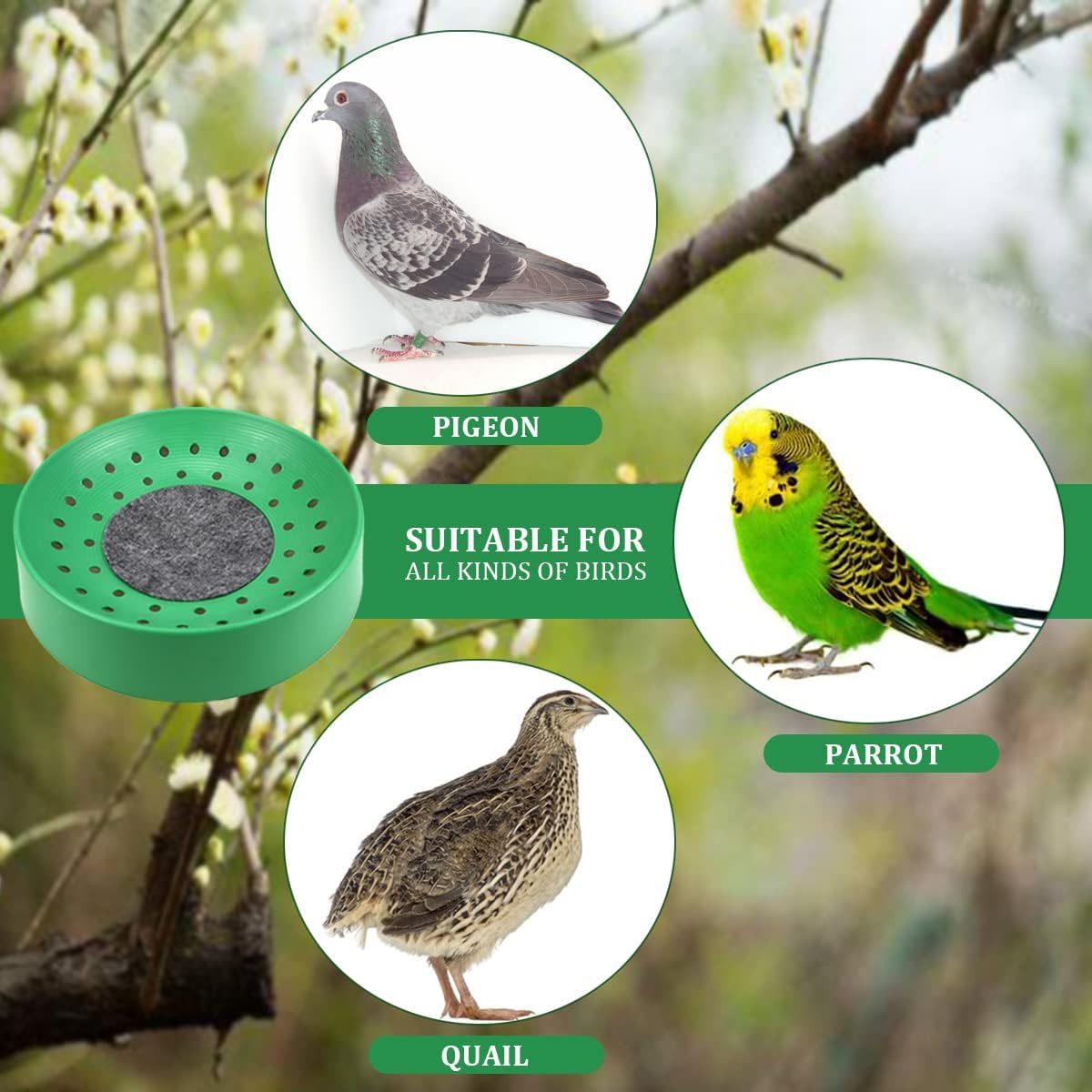 Nido de paloma, 10 cuencos de plástico para nido de pájaros, cuenco de nido de paloma, nido de cría para palomas, codornices cría de eclosionados,