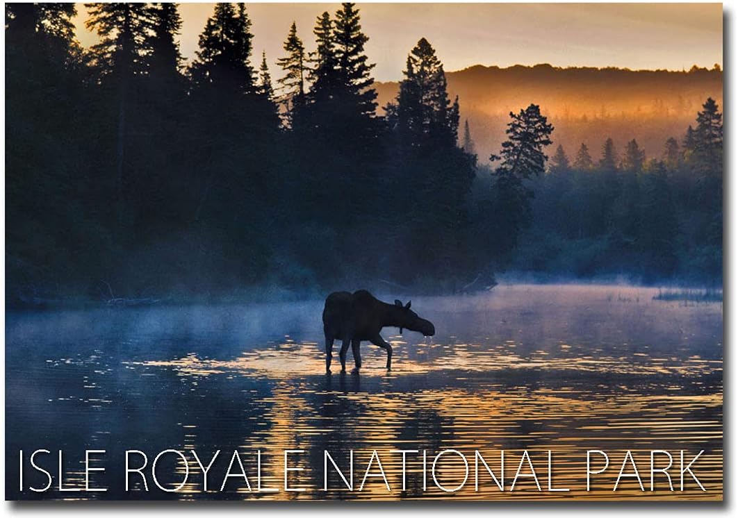 Isle Royale National Park, Michigan Moose – Imán para nevera, tamaño 2.5 x 3.5 pulgadas
