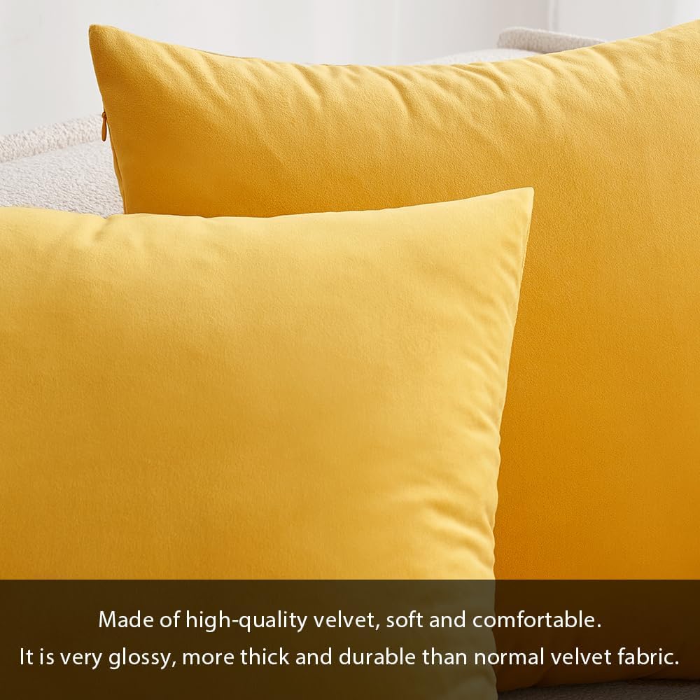 MIULEE – Paquete de 2 fundas de almohada, de terciopelo, funda de almohada decorativa cuadrada, funda de almohada suave y de color liso para sofá o