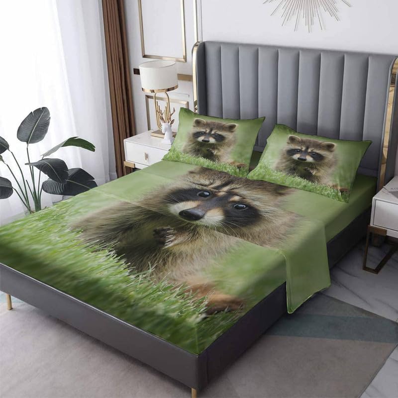 Sábanas de mapache tamaño Queen  Preciosos juegos de sábanas y fundas de almohada  Lujoso 100% microfibra, estampado de alta cantidad de hilos,