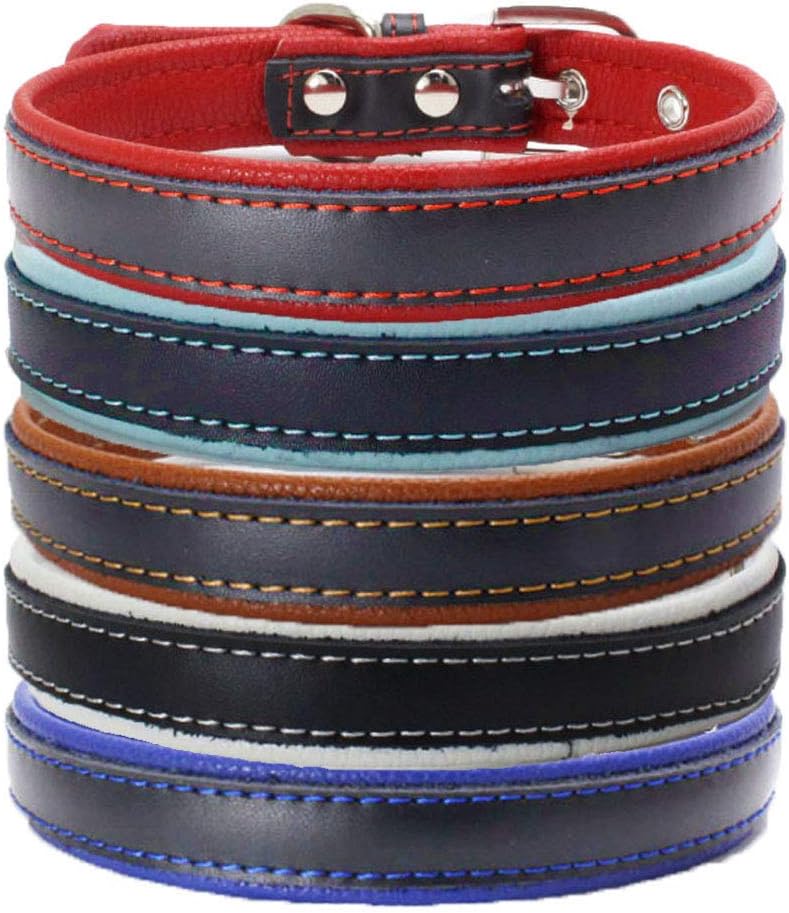 Love Dream Collar acolchado de cuero para perro, 6 colores, collares de cuero ajustable resistente para perros pequeños, medianos y grandes (XCH