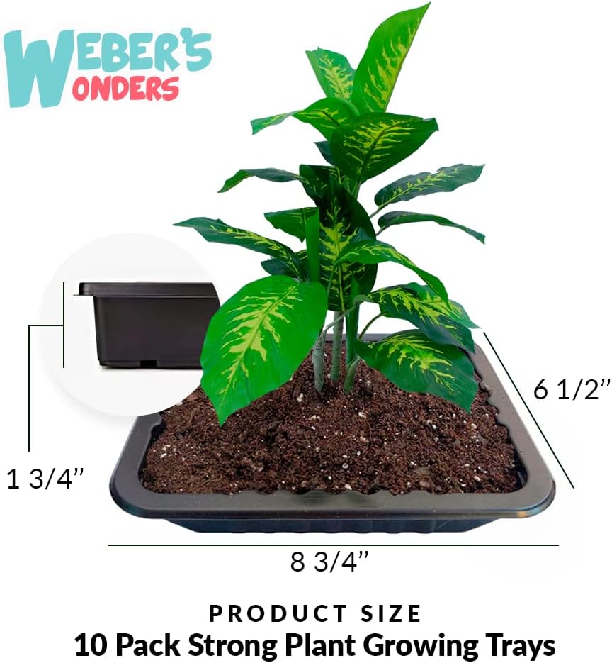 Weber’s Wonders Paquete de 10 bandejas de cultivo de plantas, sin agujeros de drenaje, bandejas perfectas para semillas de jardín, bandejas de