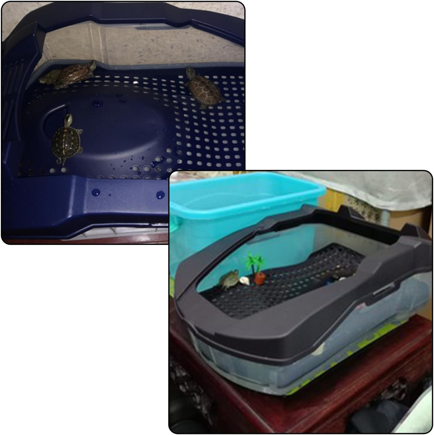 PINVNBY Acuario Turtle Tank de 17.7 pulgadas de largo x 10.2 pulgadas de ancho x 6.1 pulgadas de alto, hábitat de reptiles con plataforma para tomar