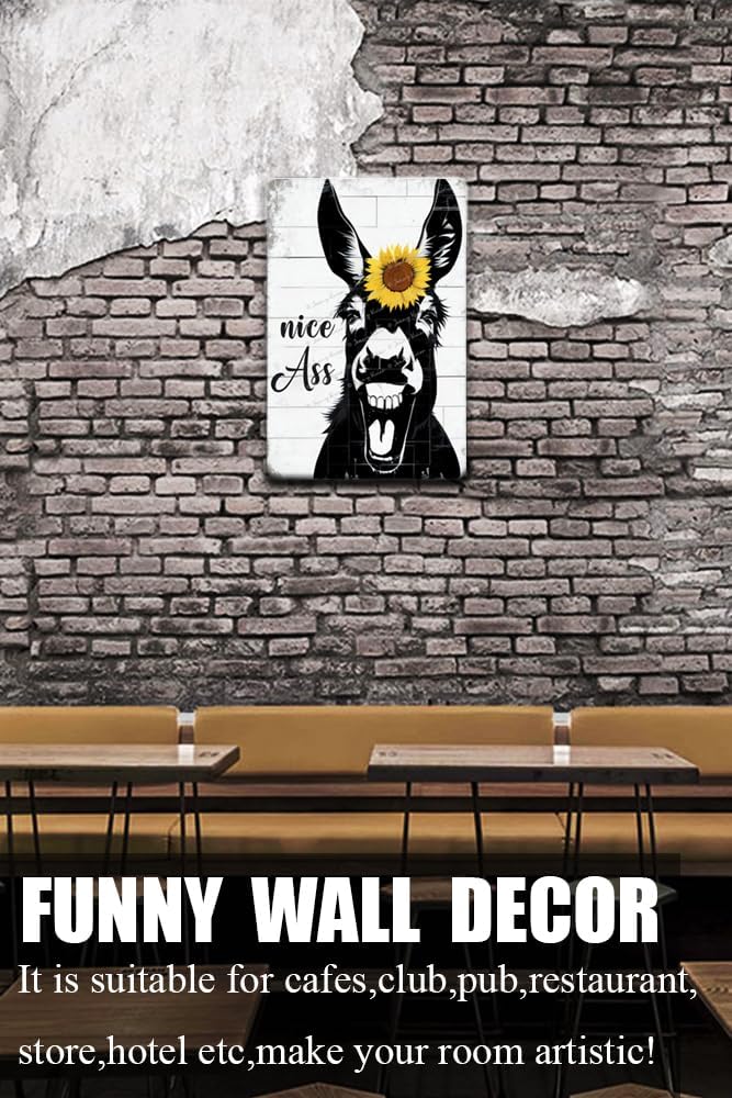 Cartel retro de metal con texto en inglés “Nice A-S-S”, divertido arte de pared de burro, divertido letrero de metal para baño, baño, inodoro,