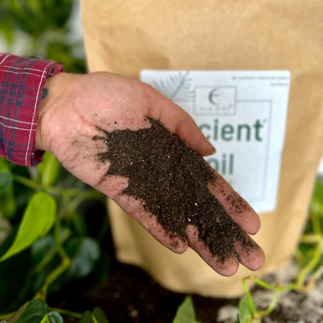 Elm Dirt Suelo antiguo prémium para todas las plantas, suelo orgánico para plantas de exterior y suelo de plantas de interior, suelo de jardín para