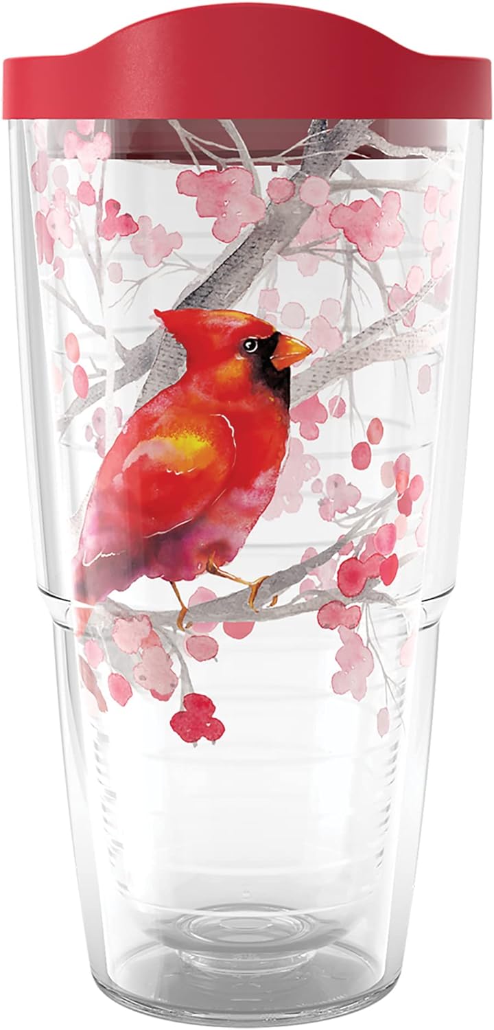 Tervis Vaso aislado de doble pared con diseño de ramas de bayas y cardenales de Navidad hecho en Estados Unidos, mantiene las bebidas frías y