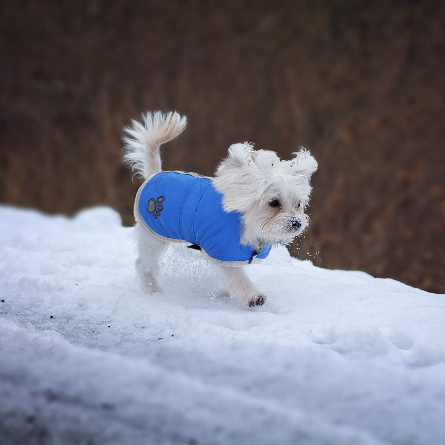 Chamarra para perros, para climas fríos, reversible, forro polar para Invierno, chaleco, para mascotas, impermeable,, S, Azul