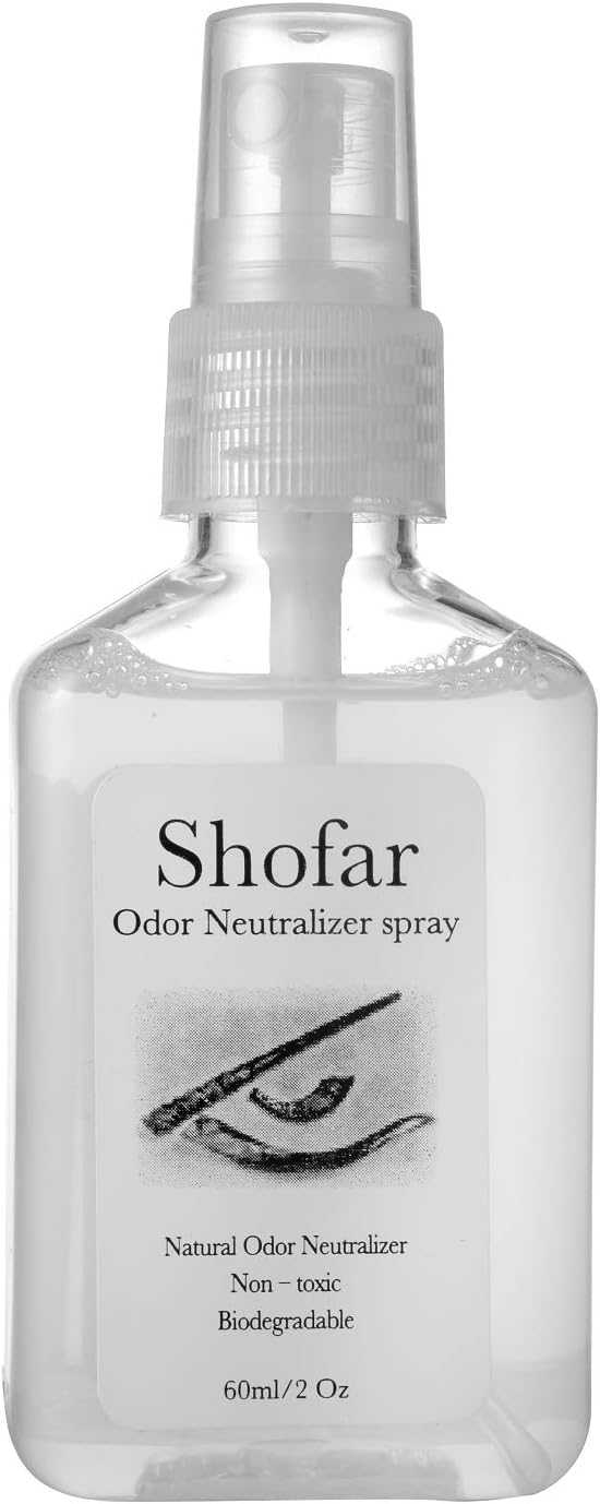 SHOFAR Set Full Natural Kudu Horn Yemenite + Bolsa + Guía + Estuche de transporte (30-32 pulgadas) de Israel