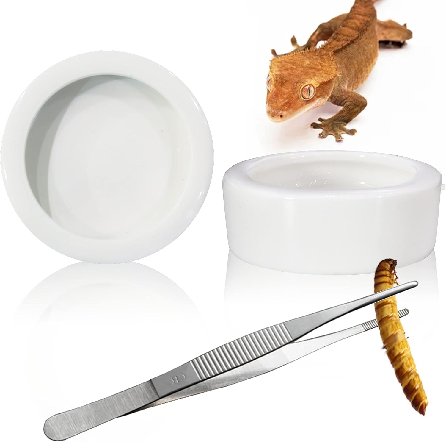 2 cuencos de cerámica para reptiles con pinzas para tortuga, lagarto, barbudo, dragón, rana, leopardo, gecko, serpiente, camaleón, (mediano, 2.68