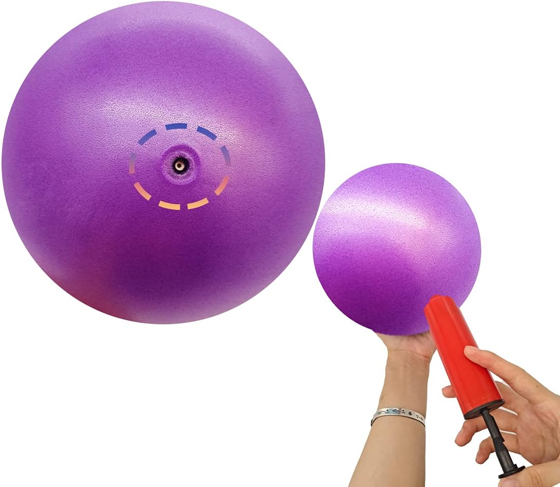 Small Pilates Ball 6 Inch Exercise Ball for Yoga Classroom Core Ball Barre Ball for Physical Therapy Balance Stretching with Pump