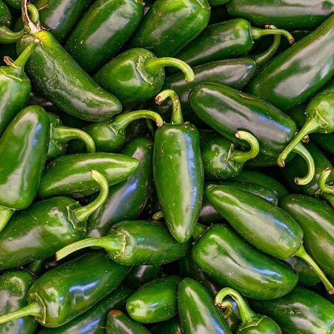 Pepper Joe’s Colección de semillas para amantes del jalapeño  Deliciosas variedades de pimiento jalapeño para plantar en tu jardín  Más de 50