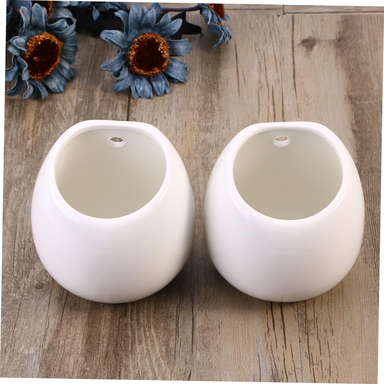Yardwe Maceta colgante para plantas, 4 piezas, maceta colgante, florero, bonsái, contenedor de plantas de pared, contenedor para plantas, balcón,