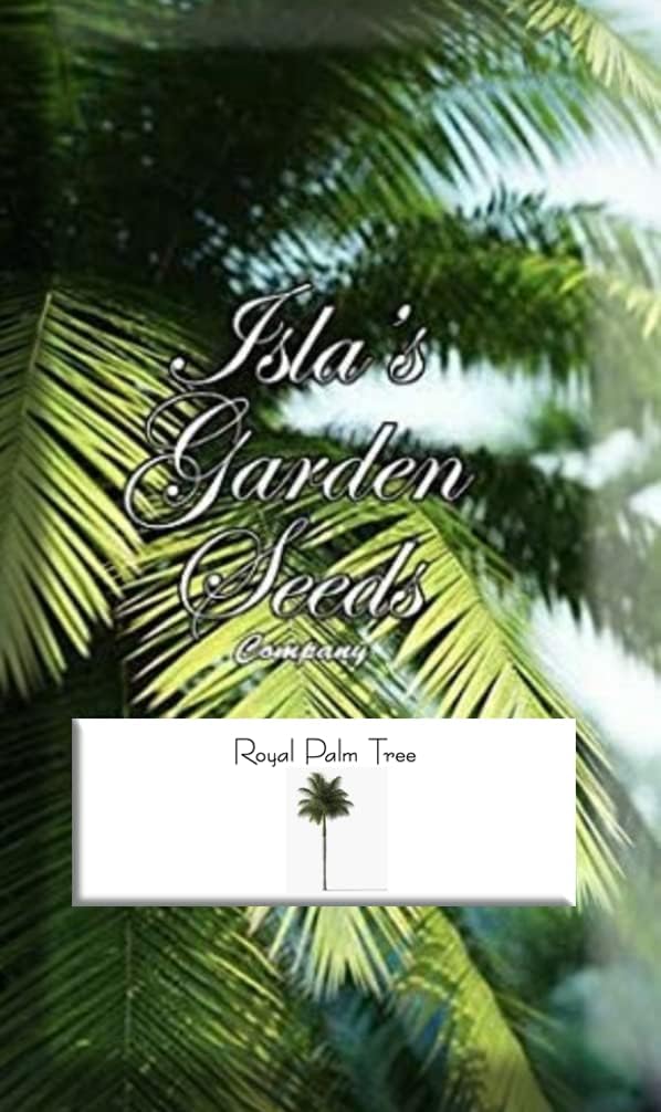 Royal Palm Tree Seeds, Roystonea Regia, también conocida como CubanFlorida Royal Palm, 20 semillas de árbol de alta calidad, palmera exótica,