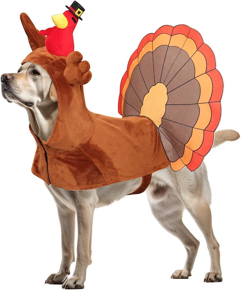 Conjunto de disfraz de Halloween para perro, traje de Acción de Gracias, ropa divertida para mascotas, fiesta de disfraces, juego de rol, carnaval,
