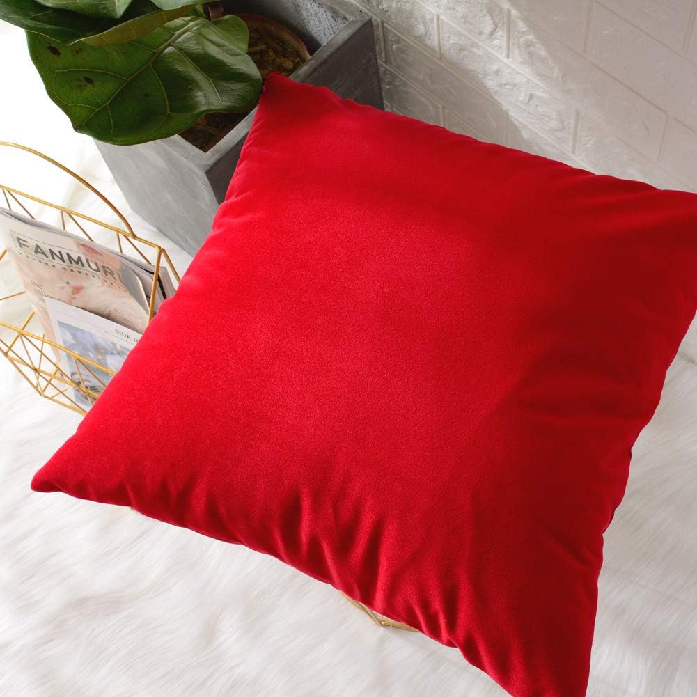 MERNETTE – Juego de 2 fundas decorativas para cojín, cuadradas, de terciopelo suave, para sofá, habitación, silla de automóvil