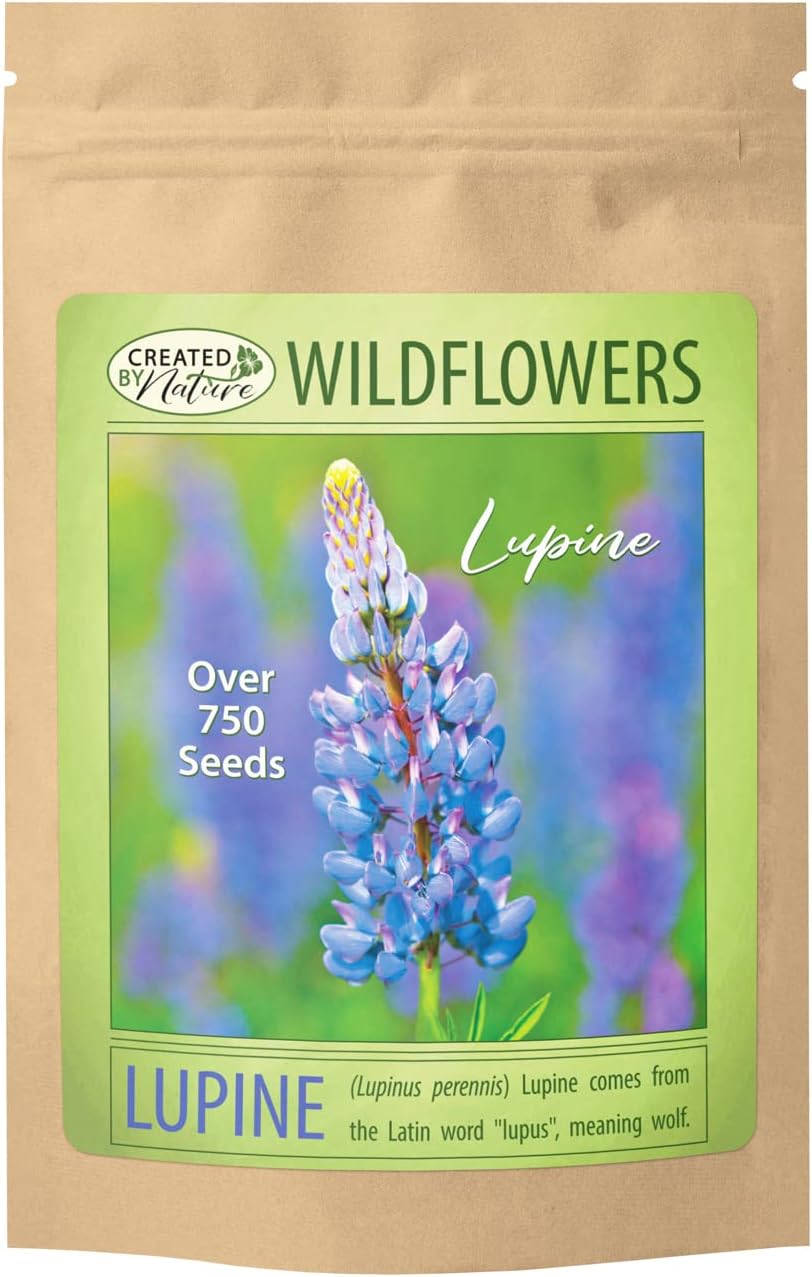 Semillas de plantas de flor de altramuz azul perenne (Lupinus perennis) – Más de 750 semillas premium – Sin OMG