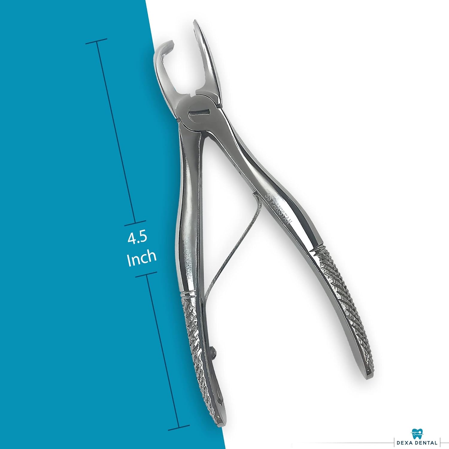Tártaro Forcep Calculus Remover Raspador de dientes, Pinzas removedor de sarro, perro veterinario dental PET Canino A+, Instrumento de calidad 4.5